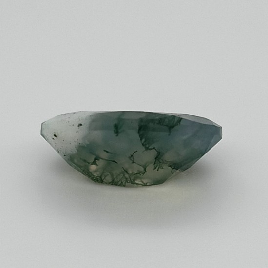 Tree Agate 6.68 Ct Gem Quality Tree Agate 6.68 Ct Gem Quality